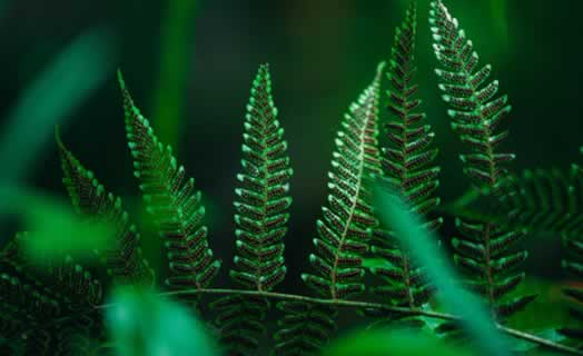 Page 2 Copy 3 https://palmvalehomes.com/wp-content/uploads/2025/09/Page-2-Copy-3.jpg